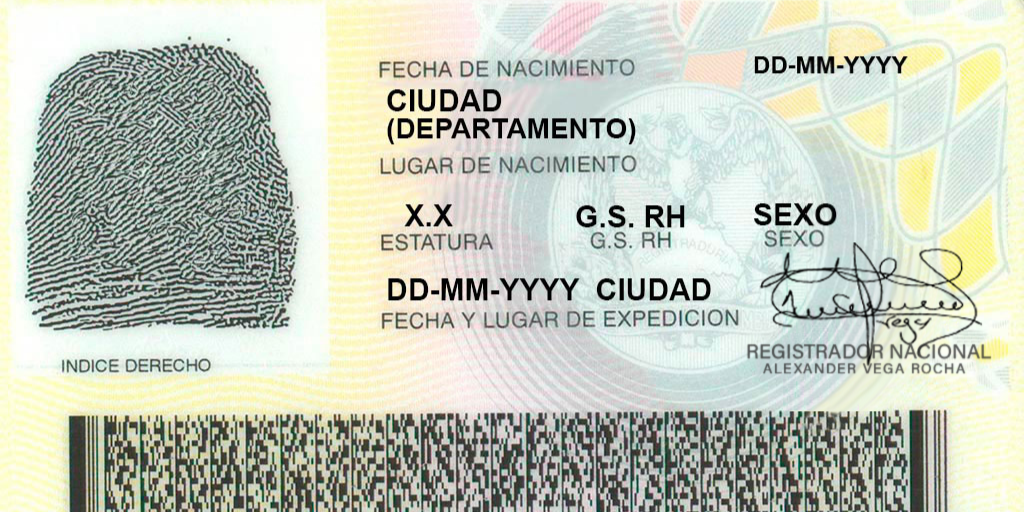 ¿Qué puedes hacer si perdiste tu cédula?