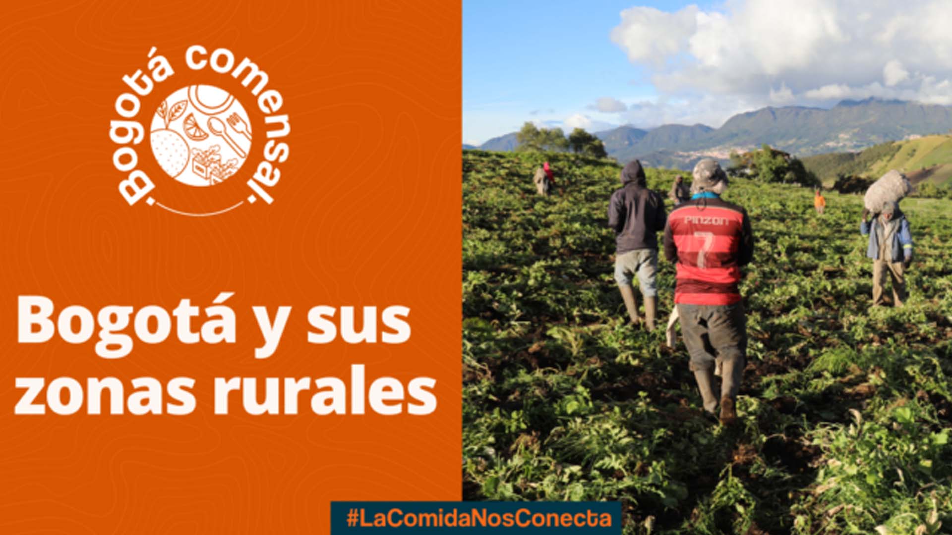 Características de las zonas rurales de Bogotá