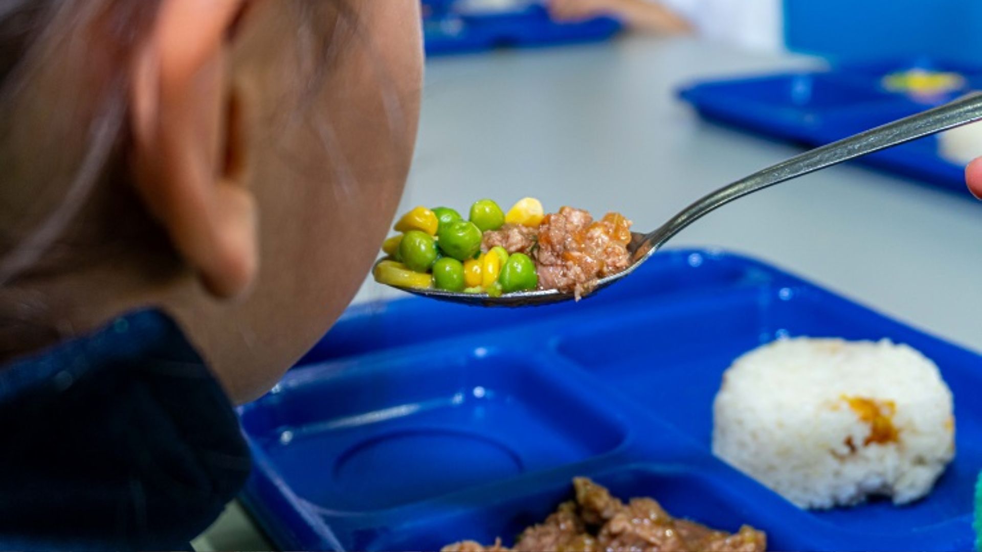 Secretaría de Educación respondió a las denuncias por alimentos en mal estado en el PAE de Bogotá
