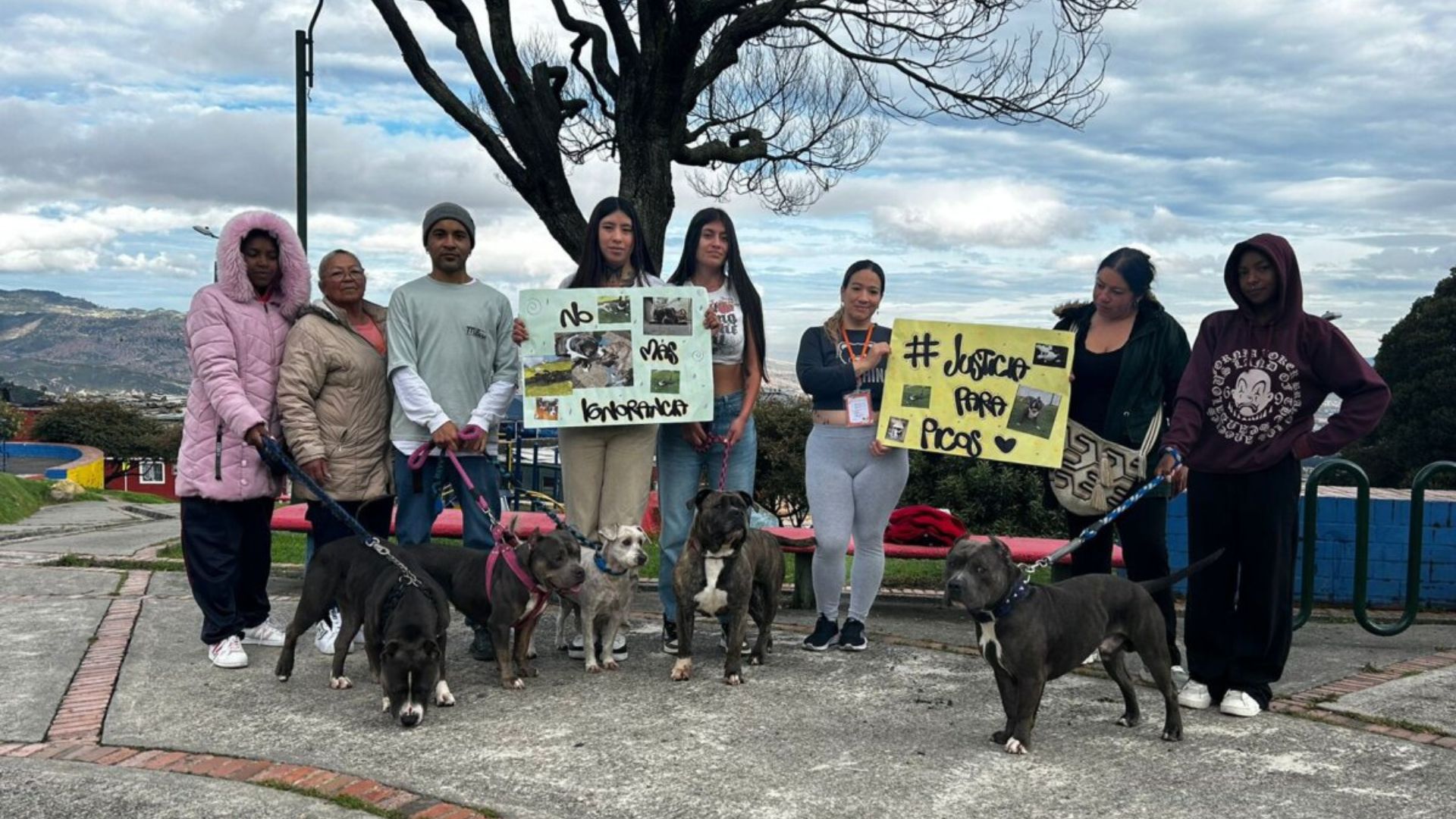 ¿Qué está pasando? Los casos recientes de maltrato animal contra perros que indignan en San Cristóbal