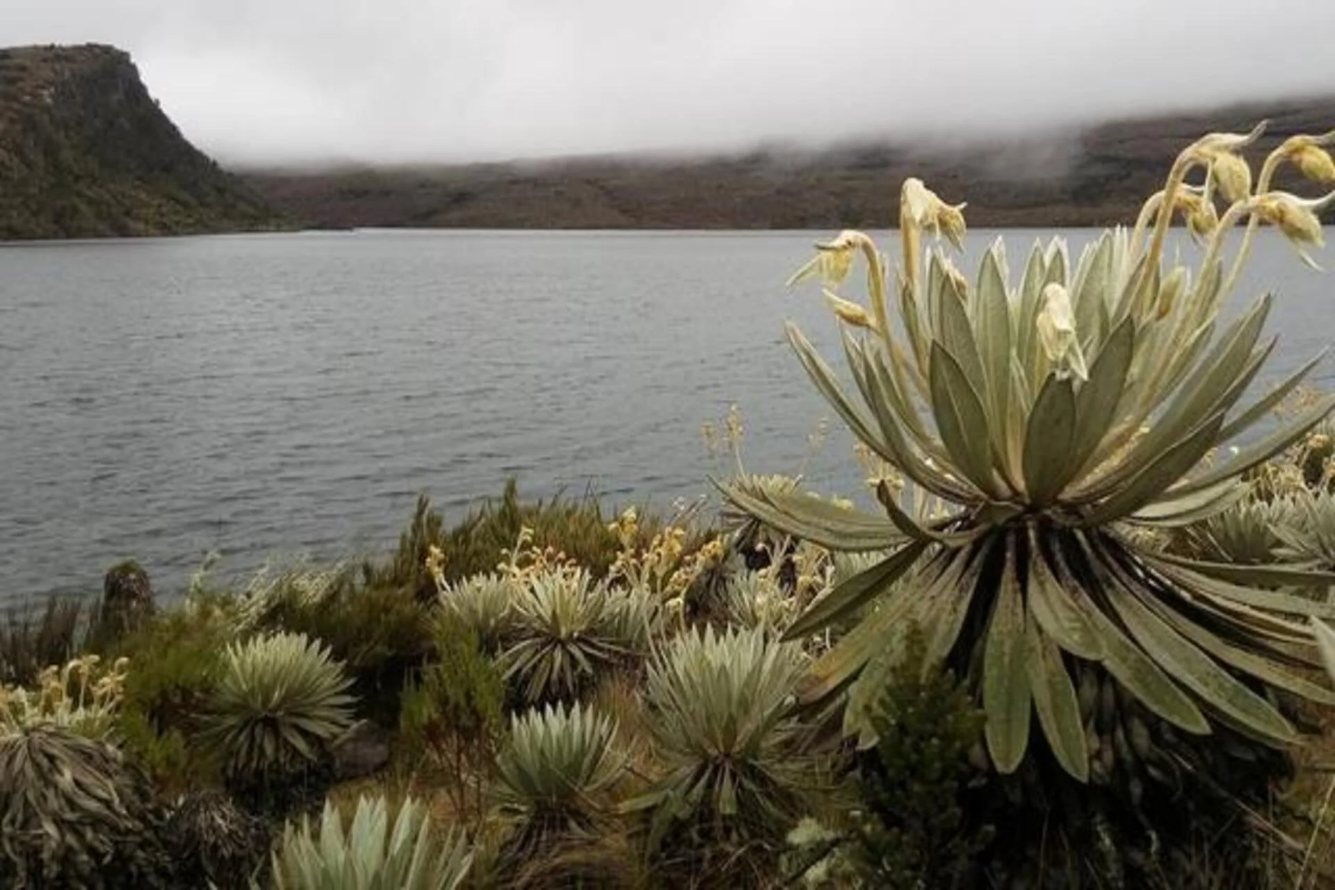 El Páramo de Sumapaz es un plan perfecto para quienes aman la naturaleza