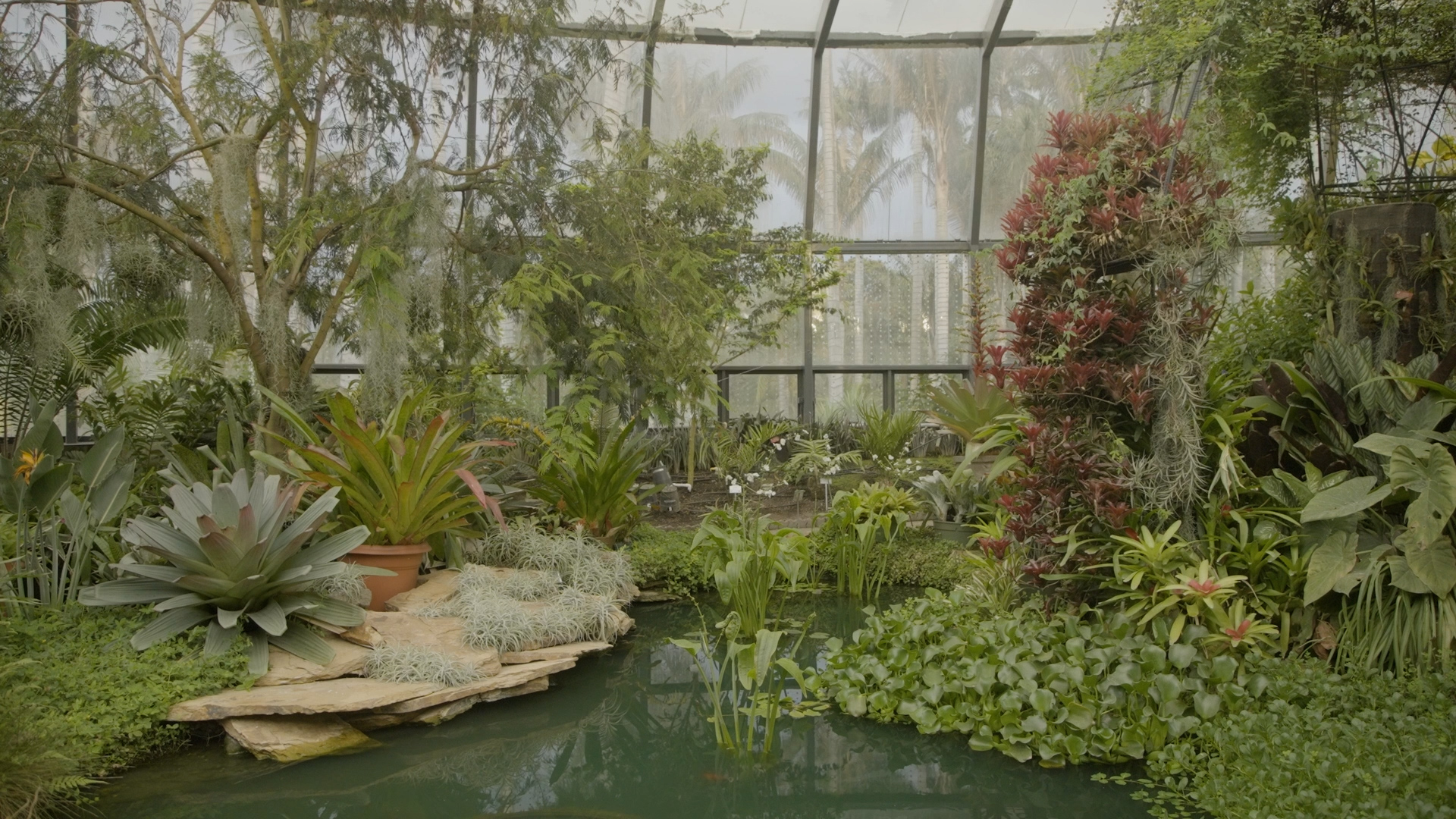 El Tropicario El Invernadero M s Grande De Latinoam rica En El Coraz n El Tropicario El Invernadero M s Grande De Latinoam rica En El Coraz n