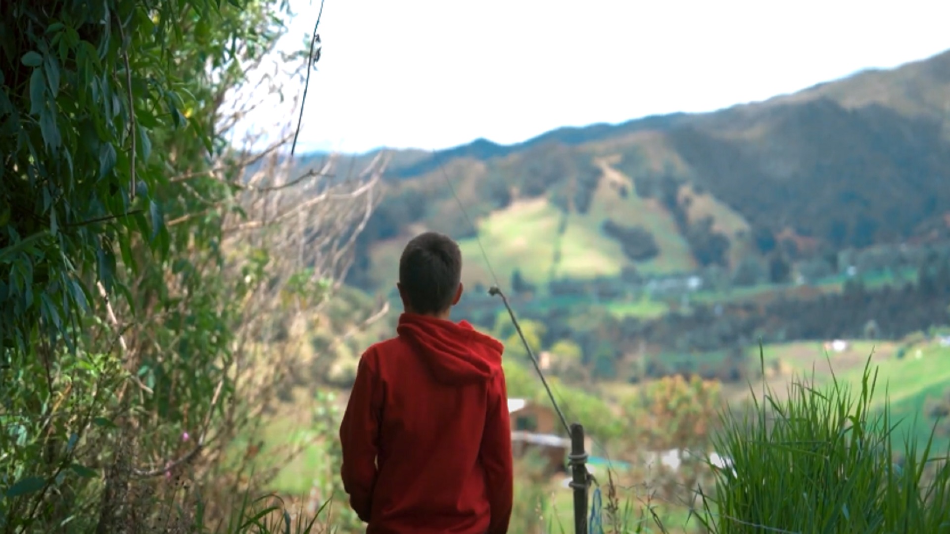 El campo en la ciudad: top de historias protagonizadas por niños y niñas de Bogotá