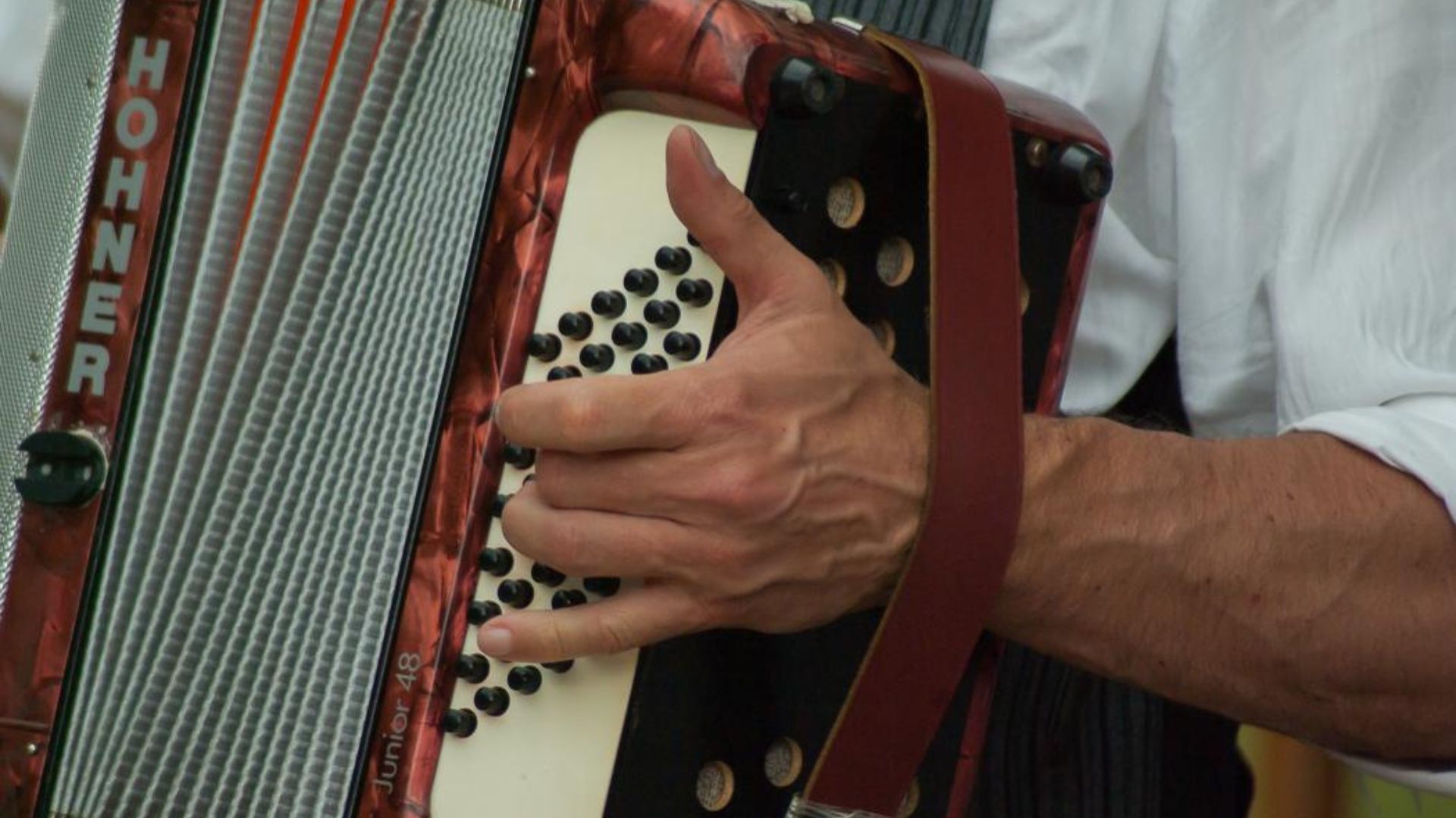 Vallenato al Parque 2025: los artistas distritales llevan el sonido capitalino