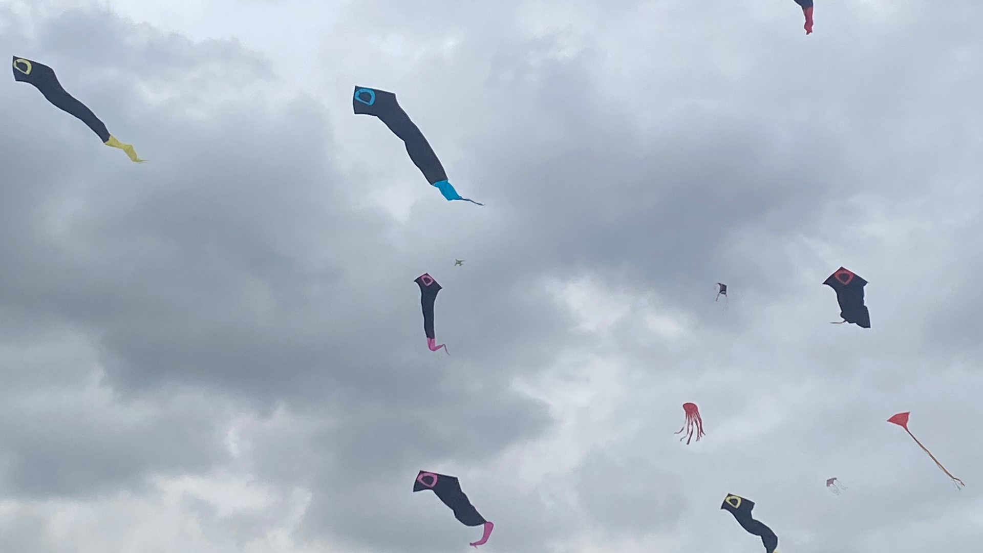 Vientos de agosto y volar cometas: el combo perfecto