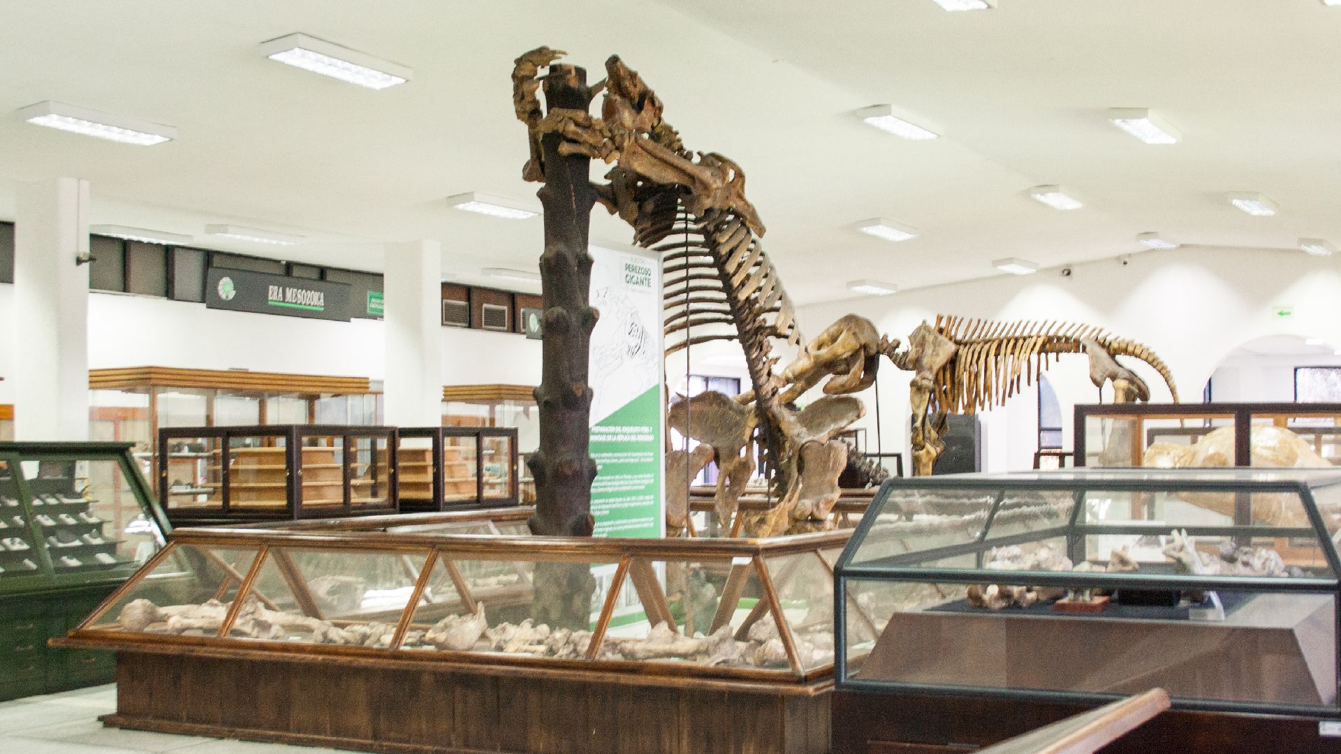 Museo Geológico Nacional