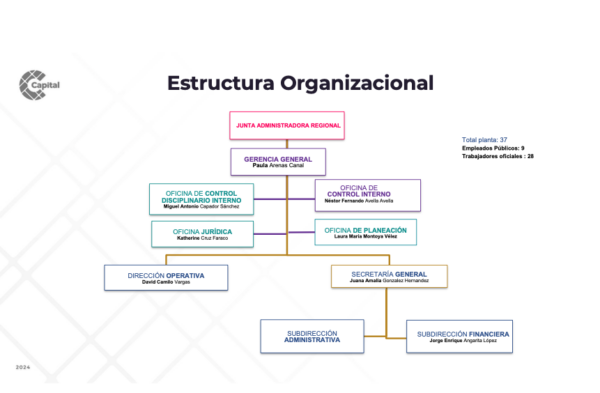 Estructura Organizacional