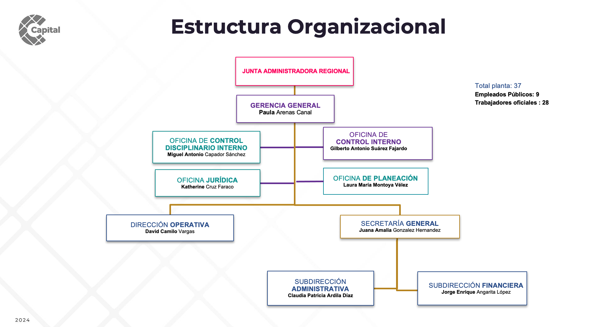 Estructura Organizacional