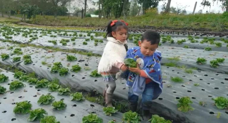 María Paula y Miguel Estamos Aquí