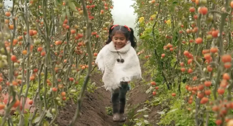 María Paula Estamos Aquí