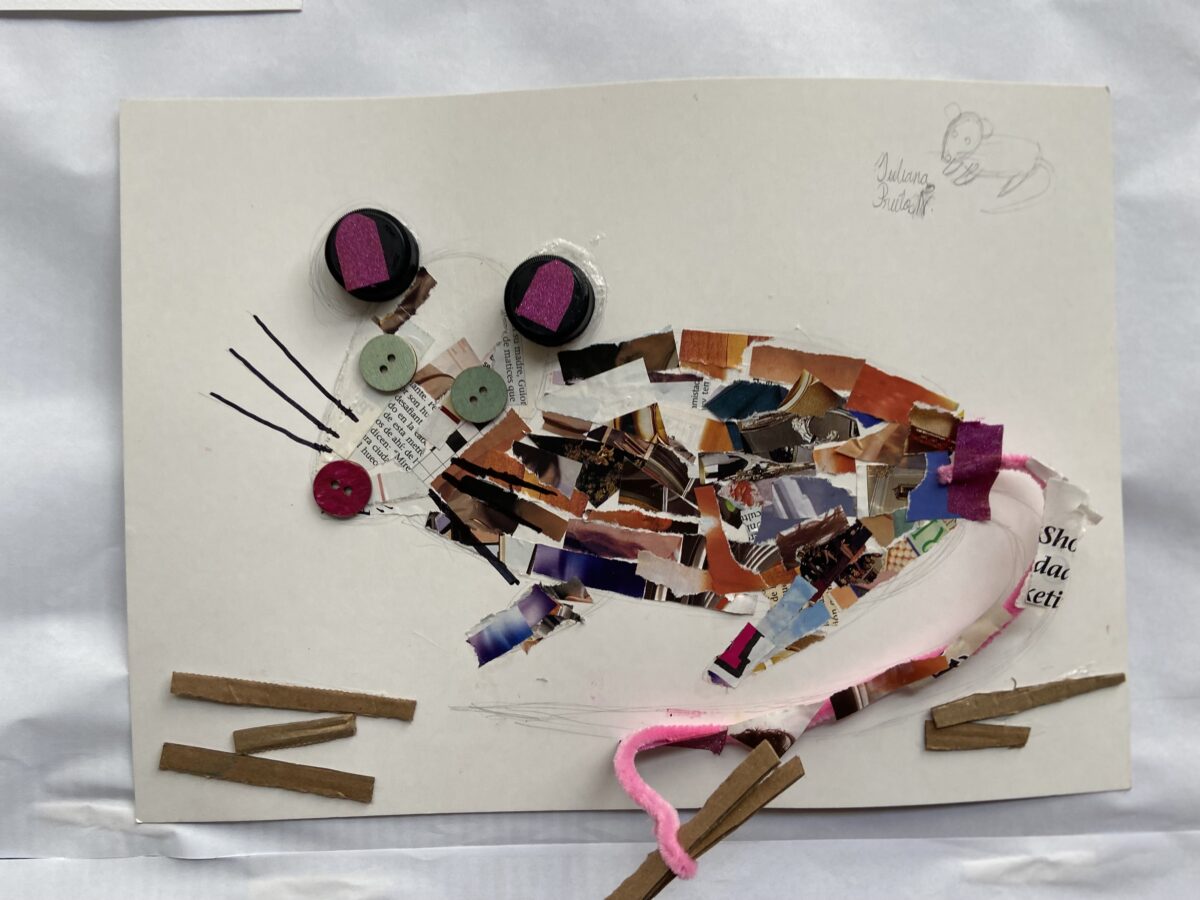 Detrás de cámaras ciudad animal