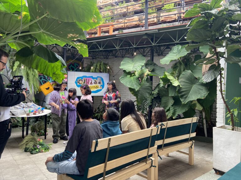 Detrás de cámaras ciudad animal