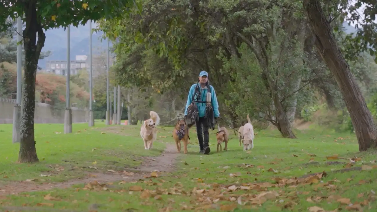 Paseadores de perros