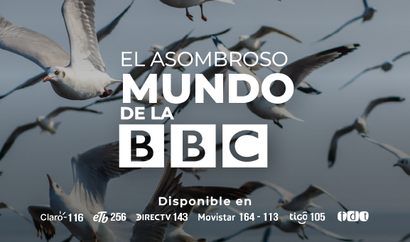 Documentales de la BBC banner