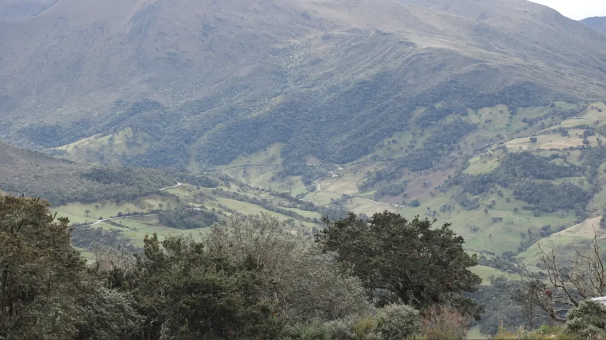 Paisaje de Sumapaz