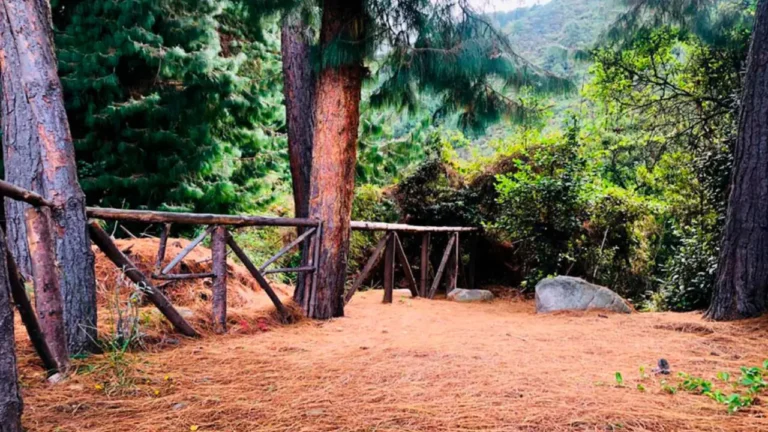 Cinco lugares recomendados para hacer senderismo en Bogotá y conectar con la naturaleza