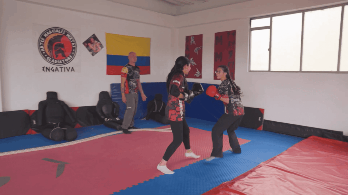 Artes marciales mixtas en un día increíble