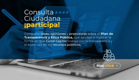 consulta ciudadana