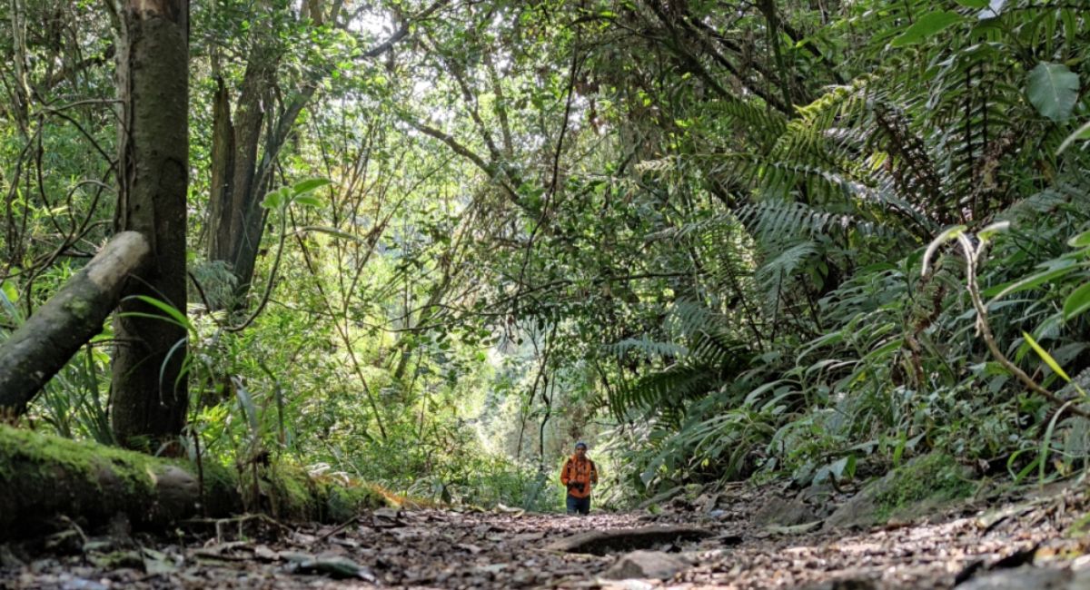 Santa Ana - La Aguadora