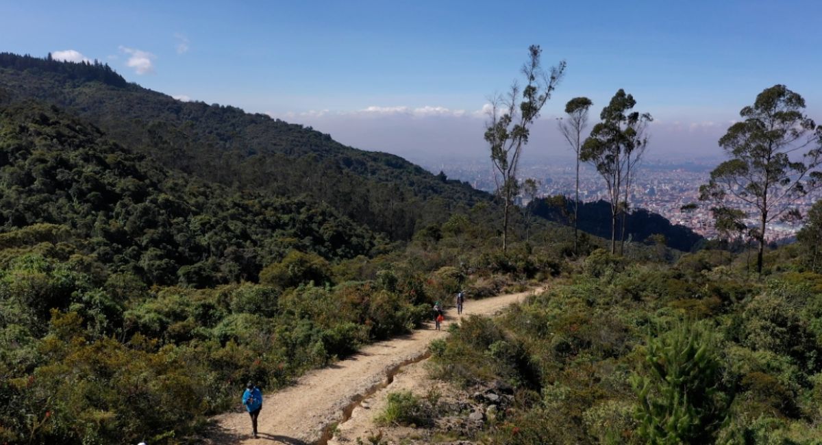 Sendero La Serranía