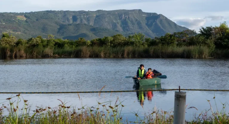 Lero lero animalero 1