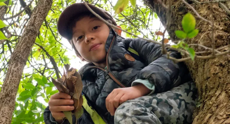 Lero lero animalero 7