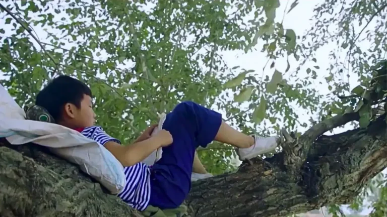 ‘La casa en el árbol’: una historia sobre la empatía, la confianza y las oportunidades