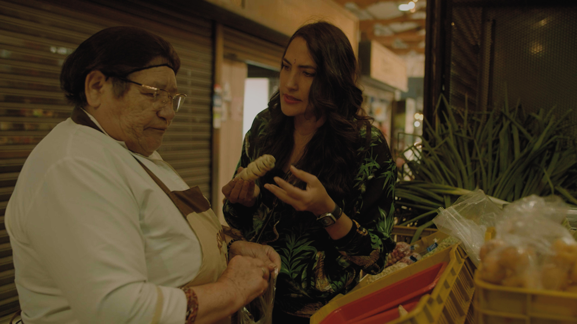 Plaza de La Concordia en Pura Plaza