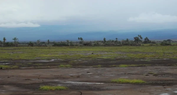 Cambio climático: el motor detrás de los eventos extremos y el desafío para Colombia en un Café con Fe