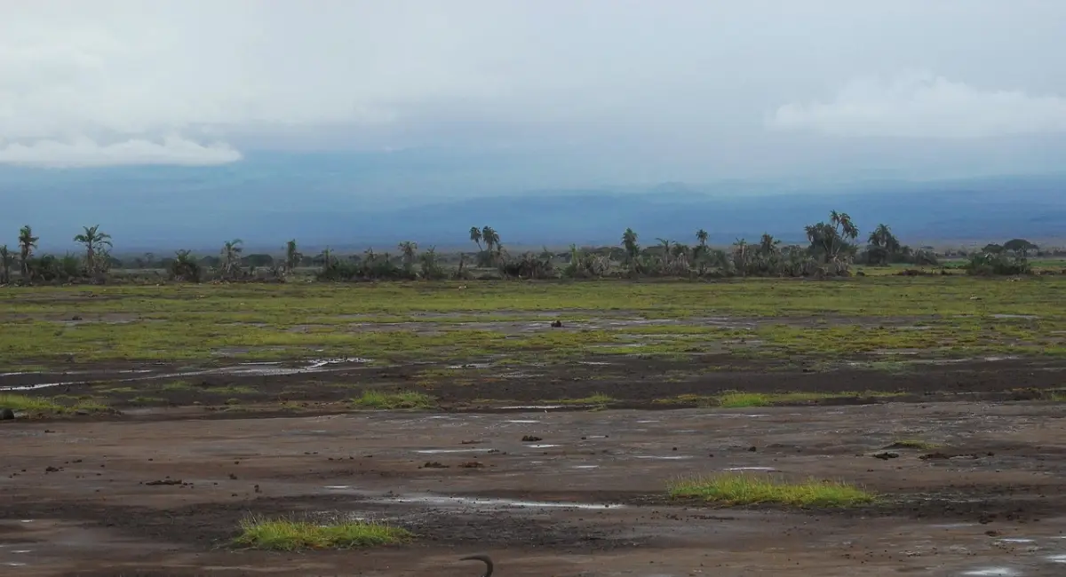 Paisaje deforestado con tierra seca.