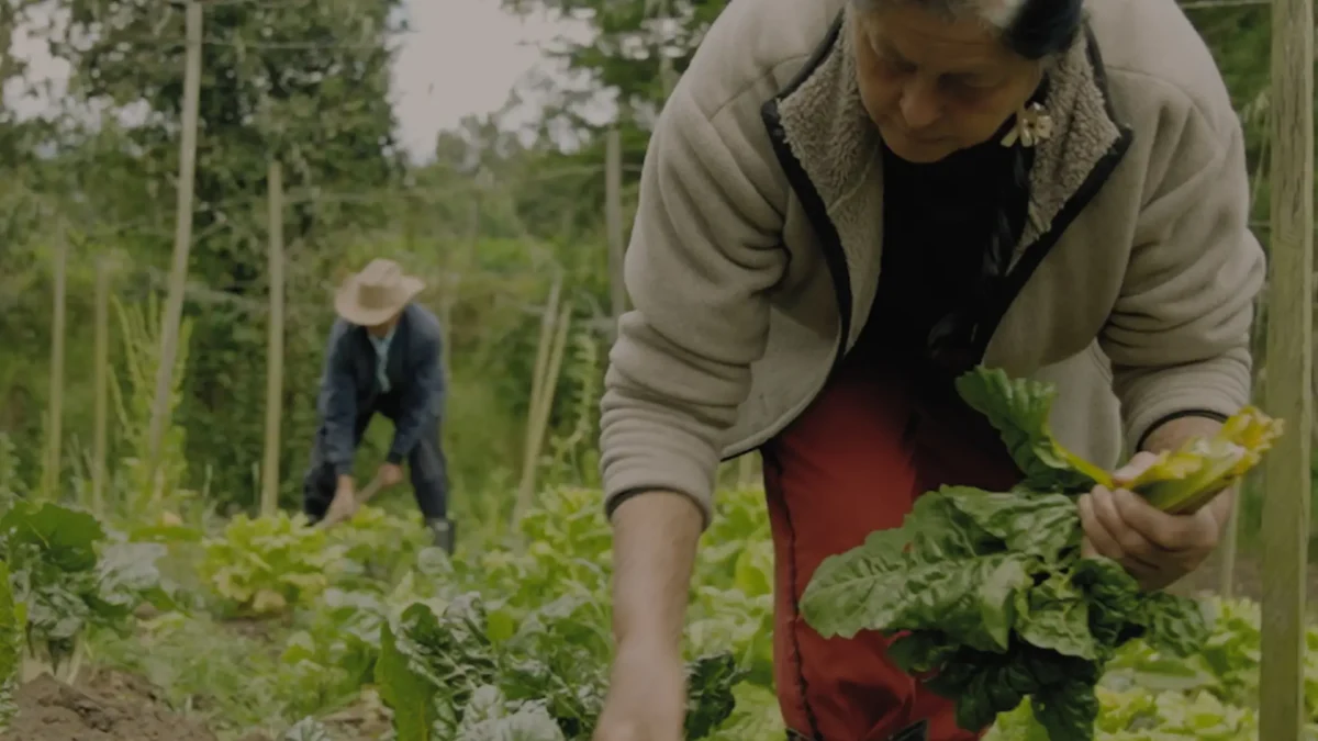 La plaza de Paloquemao en Pura Plaza.