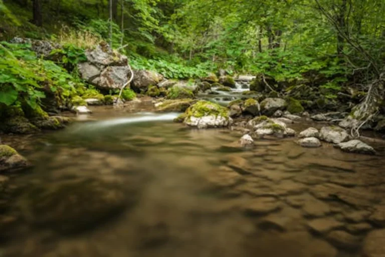 Colombia lucha lucha por sus venas de agua dulce