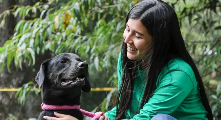 Bogotá vivirá una nueva jornada de adopción el próximo 11 de abril