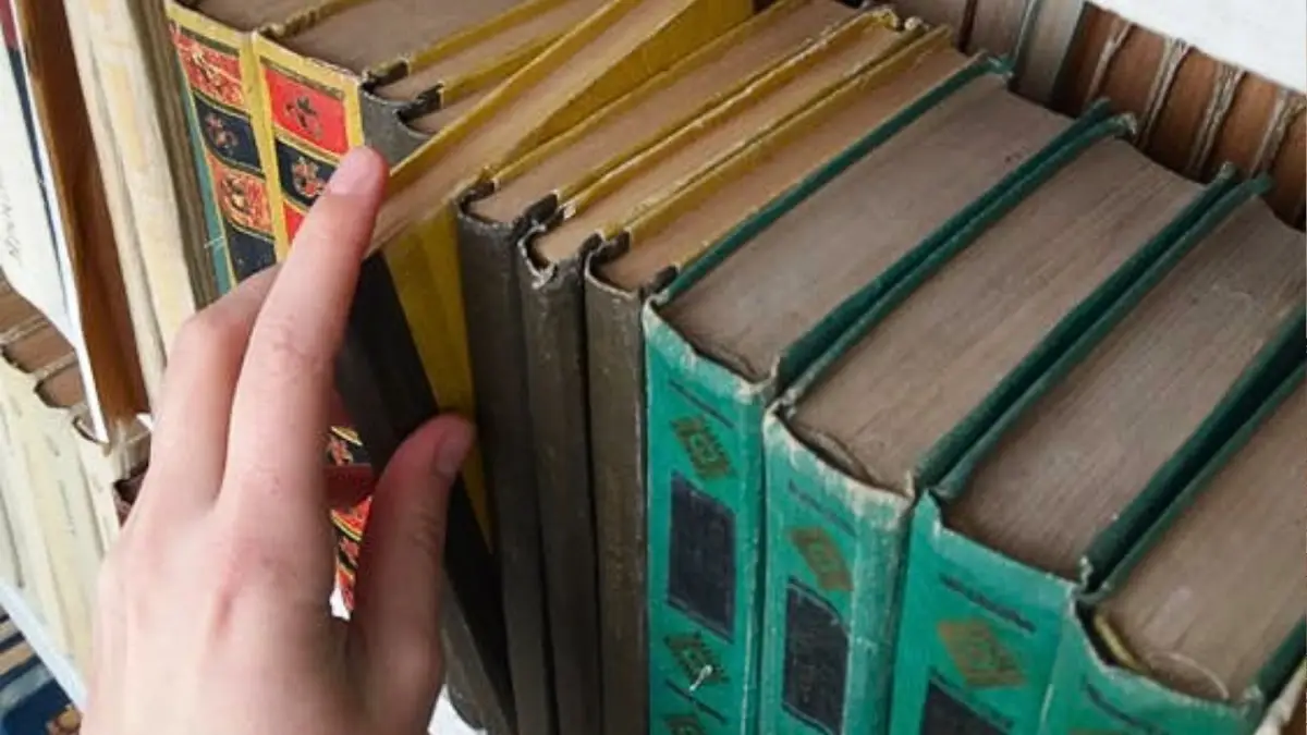 Una persona revisa una serie de libros