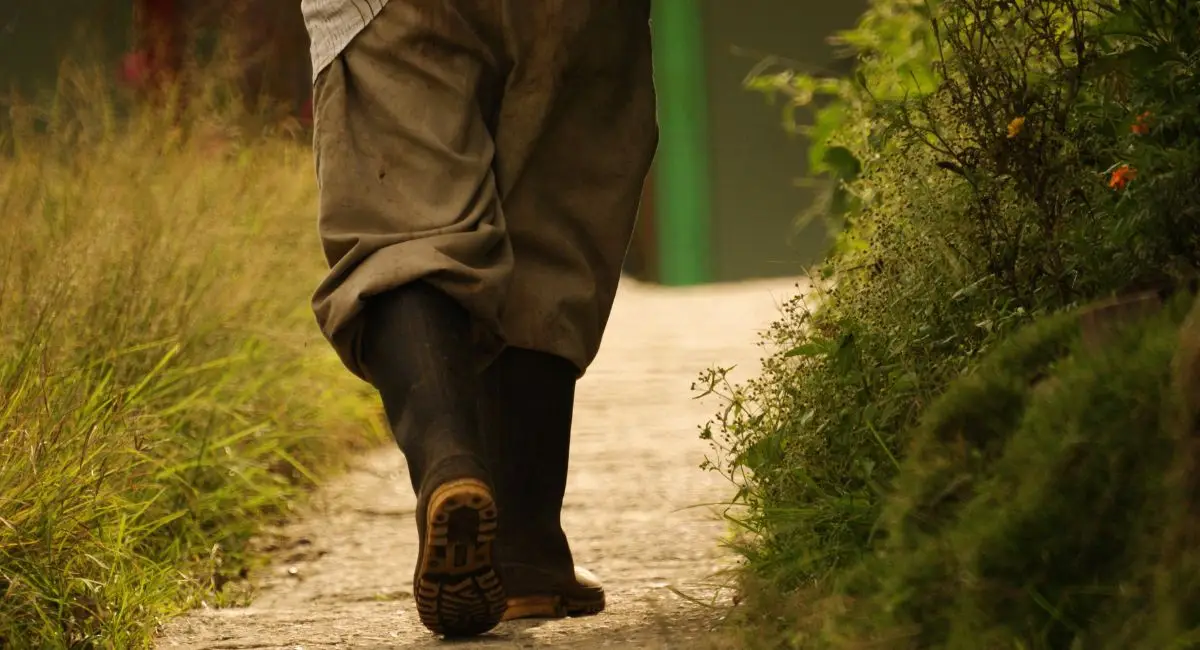 Persona caminando en el campo