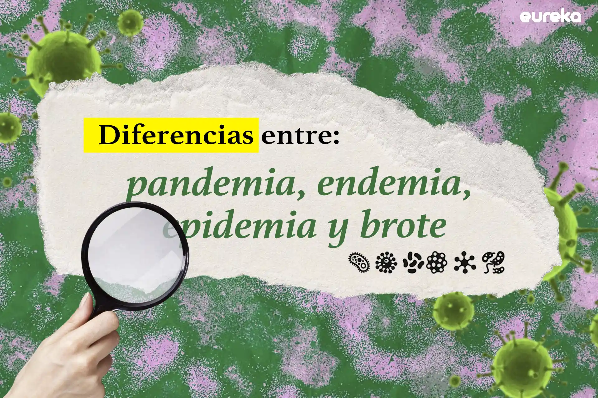 Hantavirus: lo que las familias deben saber 