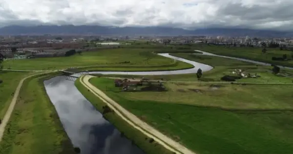 Carrera Río Bogotá: una jornada para practicar actividad física y contribuir a la restauración ecológica del territorio