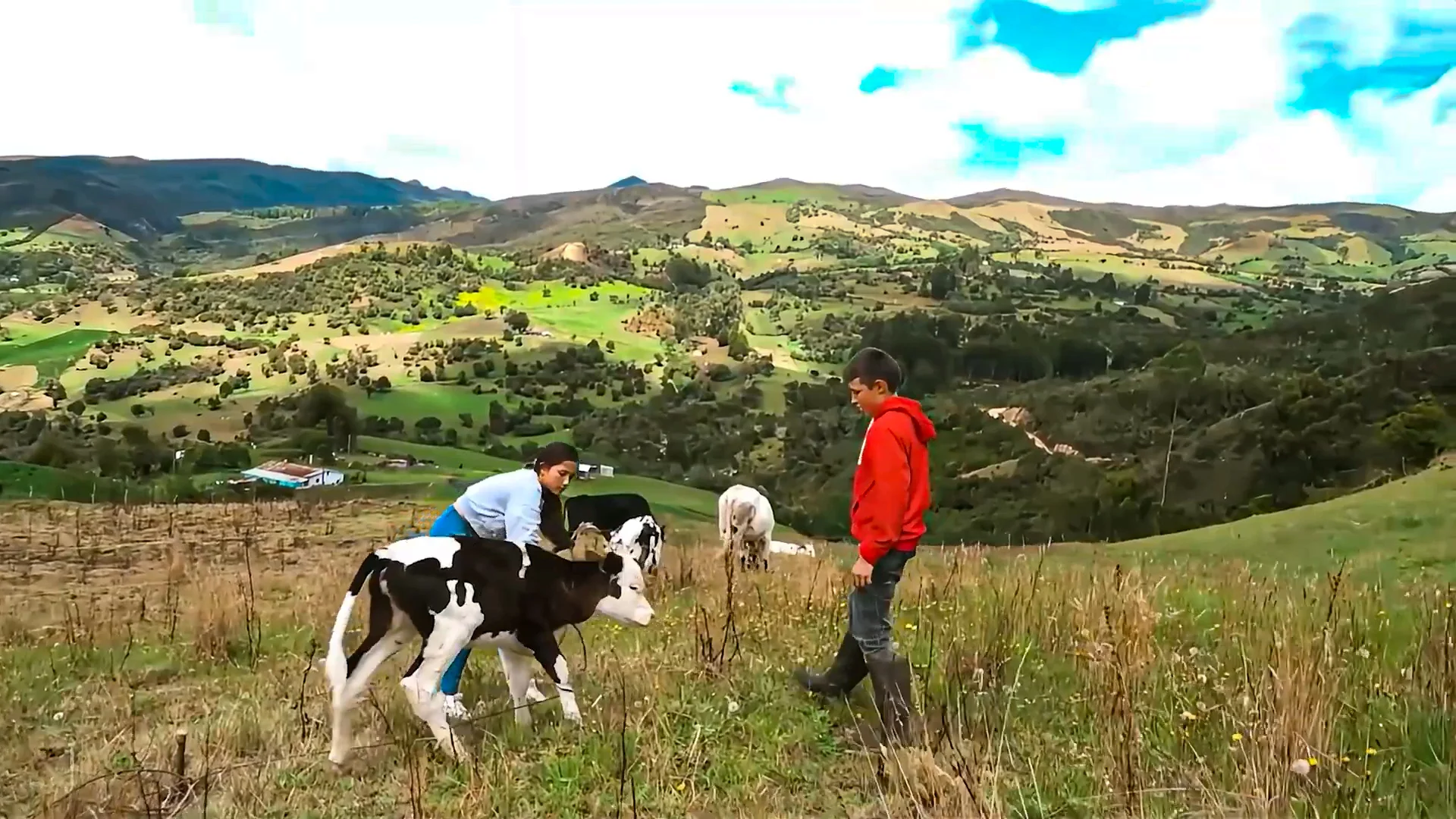 Día Nacional del Campesino