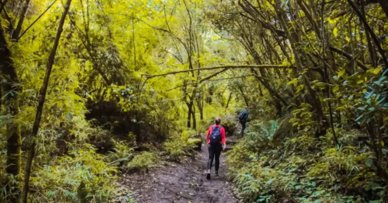 Bogotá tendrá cambios en la Ciclovía y el acceso a senderos de los Cerros Orientales durante la segunda vuelta presidencial