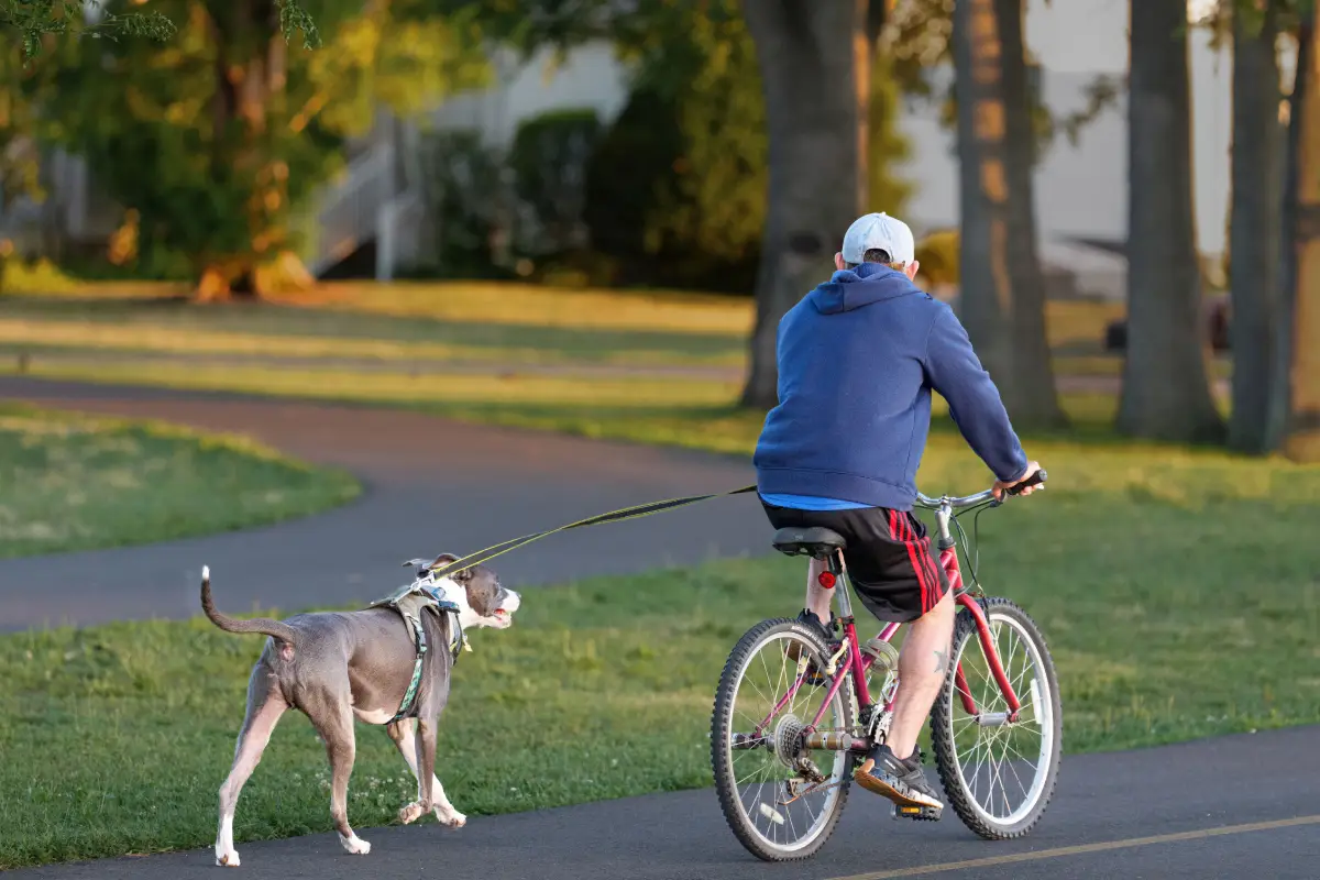 Un hombre montado en una bicicleta hace ejercicio con su animal de compañía, un perro