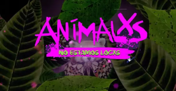 Animalxs: historias que te hablan de salud mental