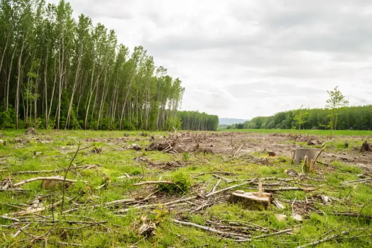 El periodismo ambiental busca conectar la crisis climática con las decisiones que toman los ciudadanos