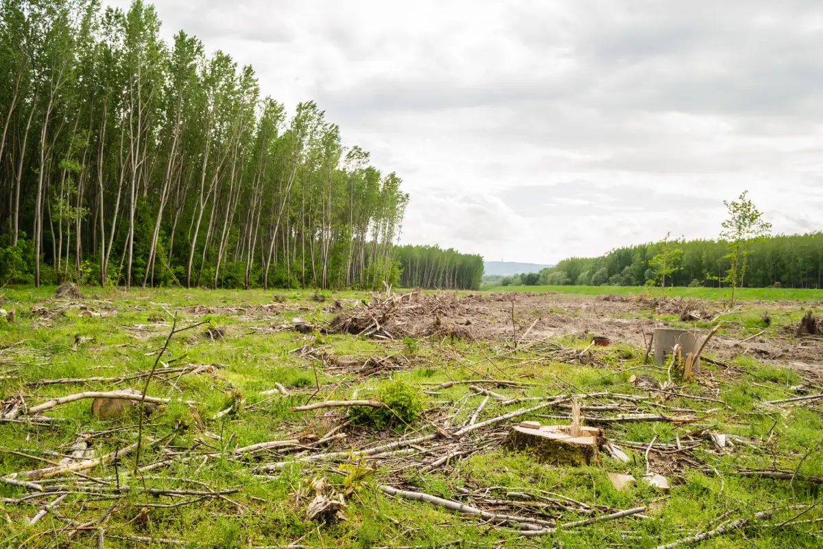El periodismo ambiental busca conectar la crisis climática con las decisiones que toman los ciudadanos
