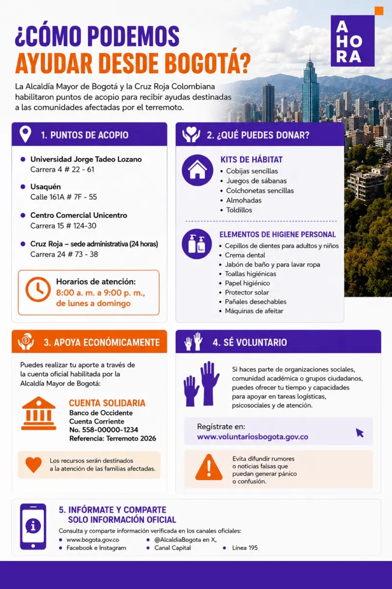 infografia con información sobre ayudas