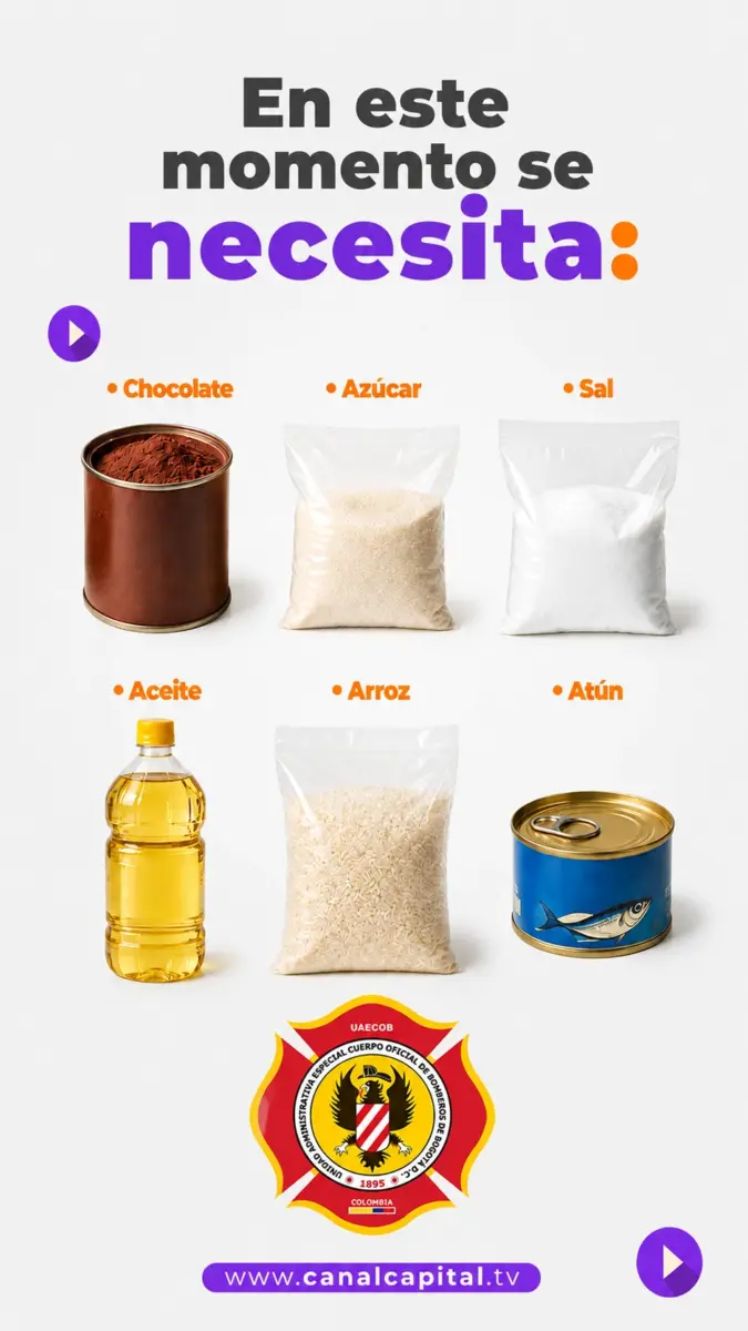 alimentos necesarios