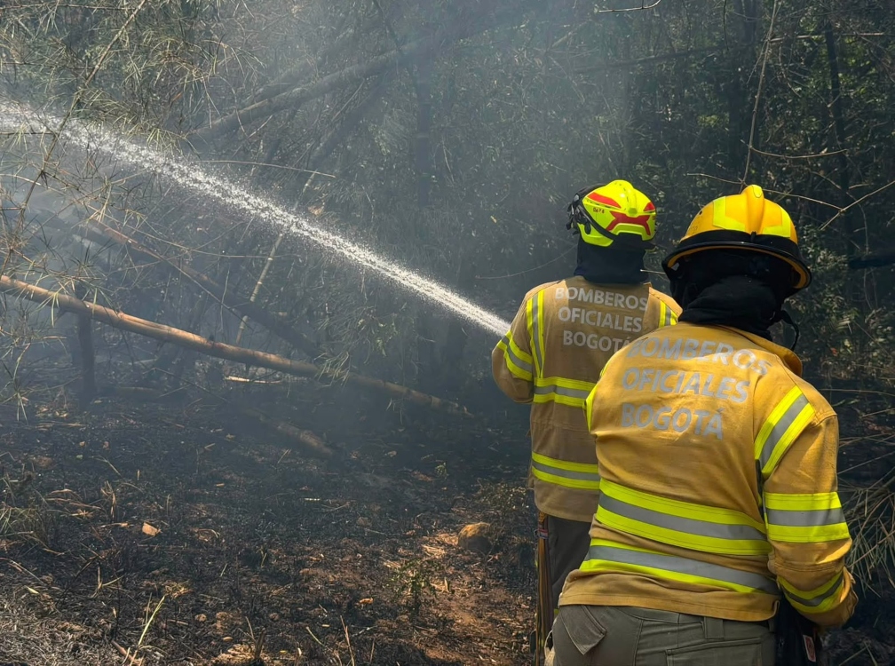 Bomberos de Bogotá apoyan la emergencia por incendios forestales en Tolima