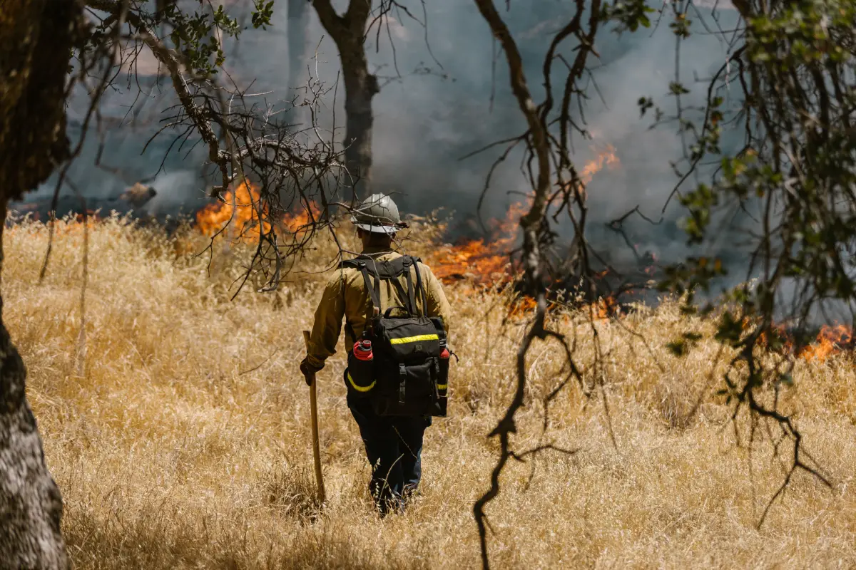 Un bombero con uniforme luchando contra un feroz incendio forestal entre hierba seca y árboles.