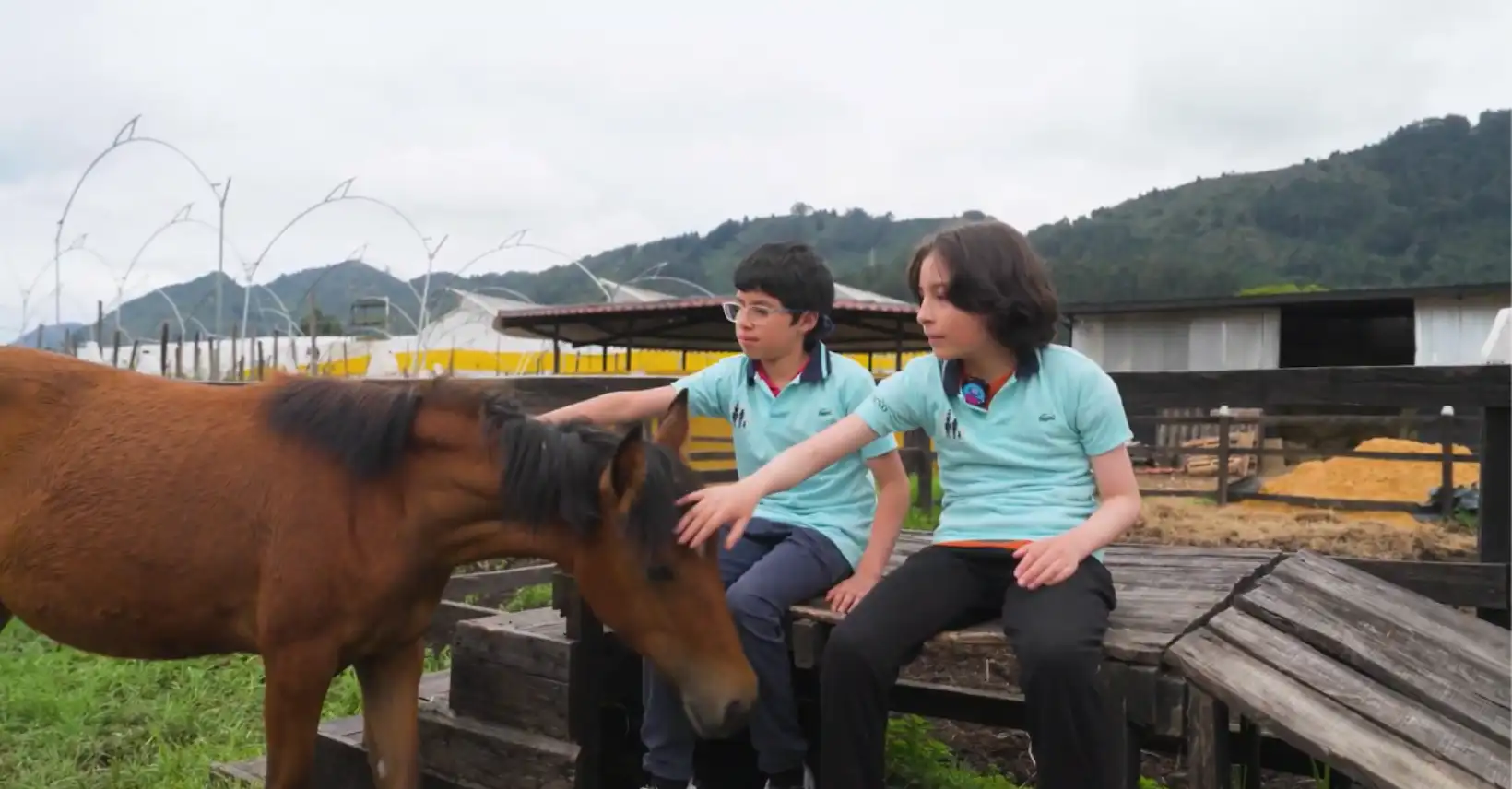 Equinoterapia caballos