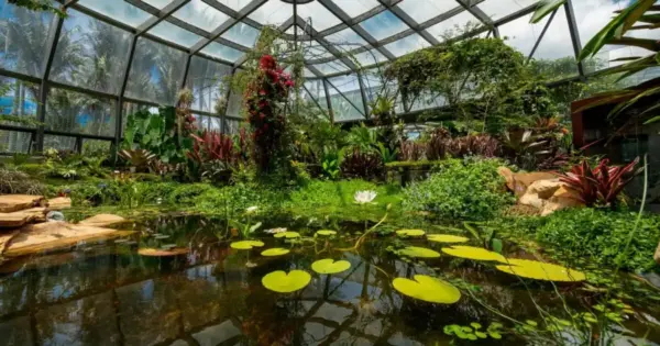 El Jardín Botánico de Bogotá cambia sus tarifas: ahora el Tropicario está incluido en la entrada