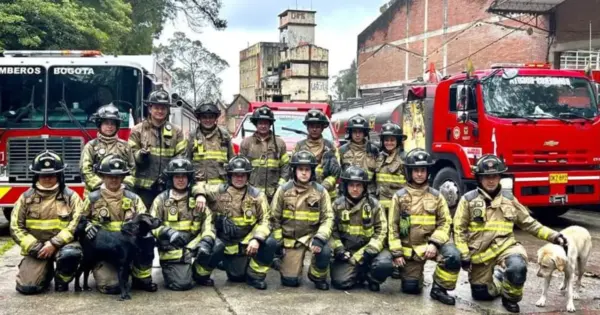 Bomberos, vigilantes y trabajadores ambientales: las labores que contribuyen al cuidado y la seguridad de Bogotá